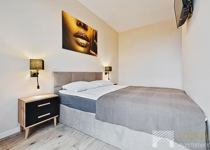 公寓 Manu Park I By Lookap Parking Gratis 罗兹